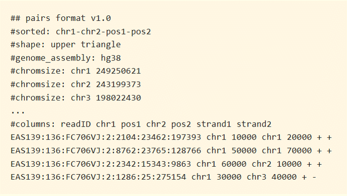 .pairs format